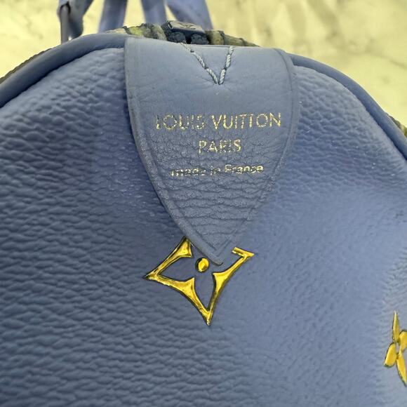 Louis Vuitton Monet Speedy Masters Collection Jeff Koons leather art bag LV Gold - Picture 12 of 15